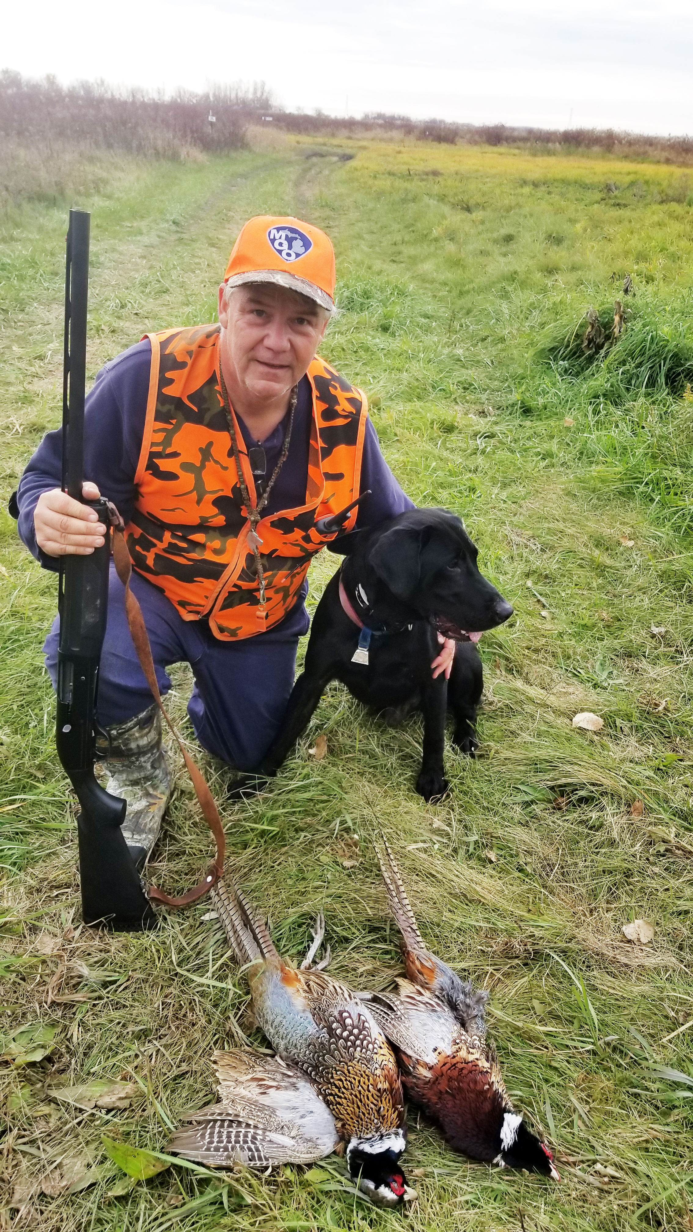 A successful pheasant hunter with two rooster pheasants and his Labrador at Crow Island State Game Area